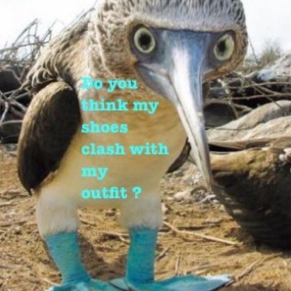 Poshmark Humor - Picture 3 of 10